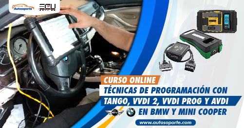 Curso online programacion de vehiculo BMW y un MINI COOPER con equipo Tango, VVDI PROG, AVDI