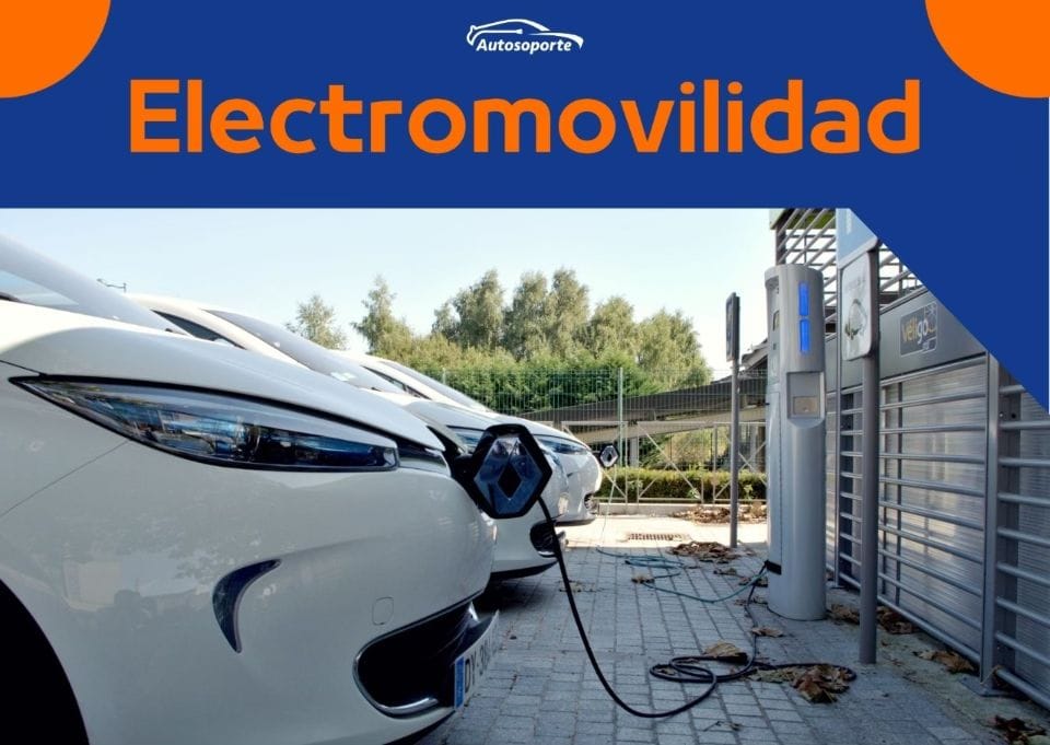 WhatsApp Image 2022 08 05 at 2.19.30 AM