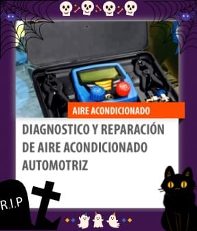 imagen.jpeg 3